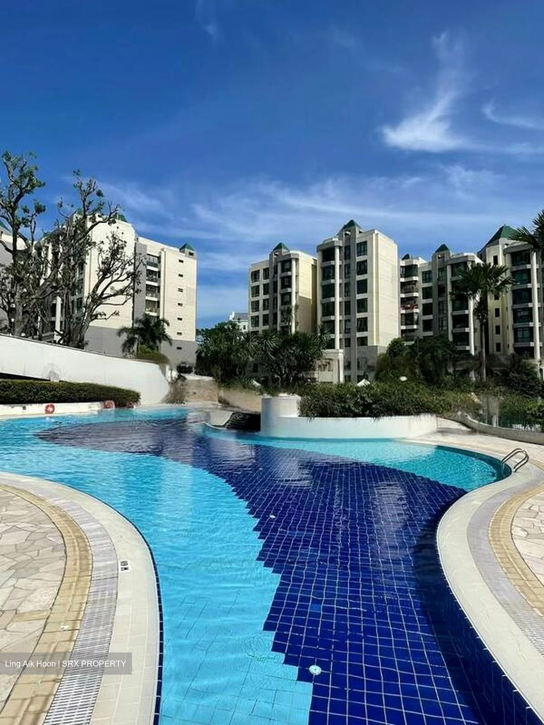 Toh Tuck Road (D21), Condominium #443413581